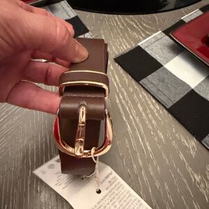 Zara Dark Brown Belt with Shiny Gold Buckle